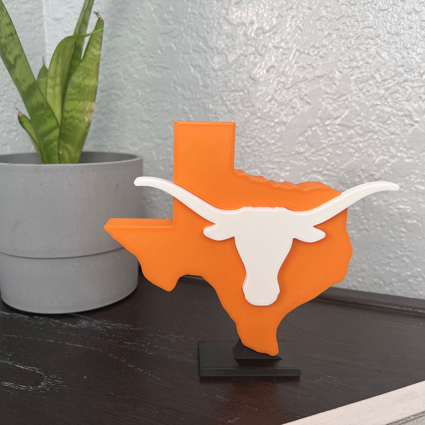 University Texas Longhorns decoration on table with plant.