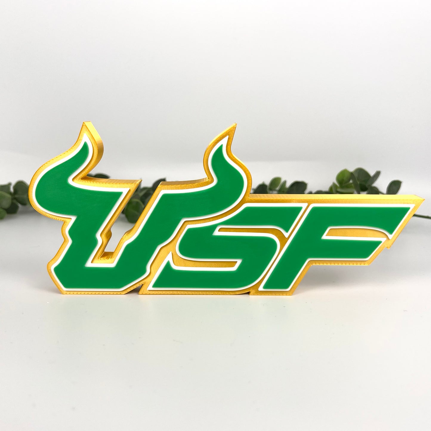 University of South Florida Bulls 3D Printed Graduation Gift